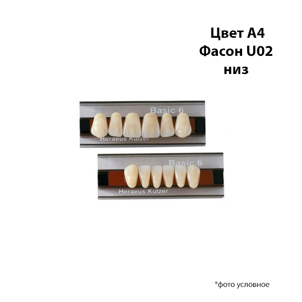 Зубы Basic 6 цвет А4 фасон U02 низ купить