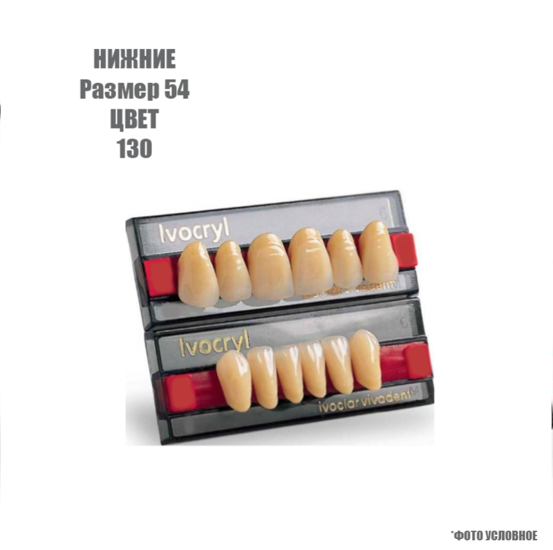 Зубы искуственные фронтальные нижние Ivoclar Set of 6 L UK54 130 купить
