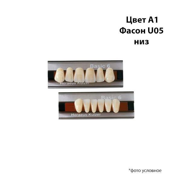 Зубы Basic 6 цвет A1 фасон U05 низ купить