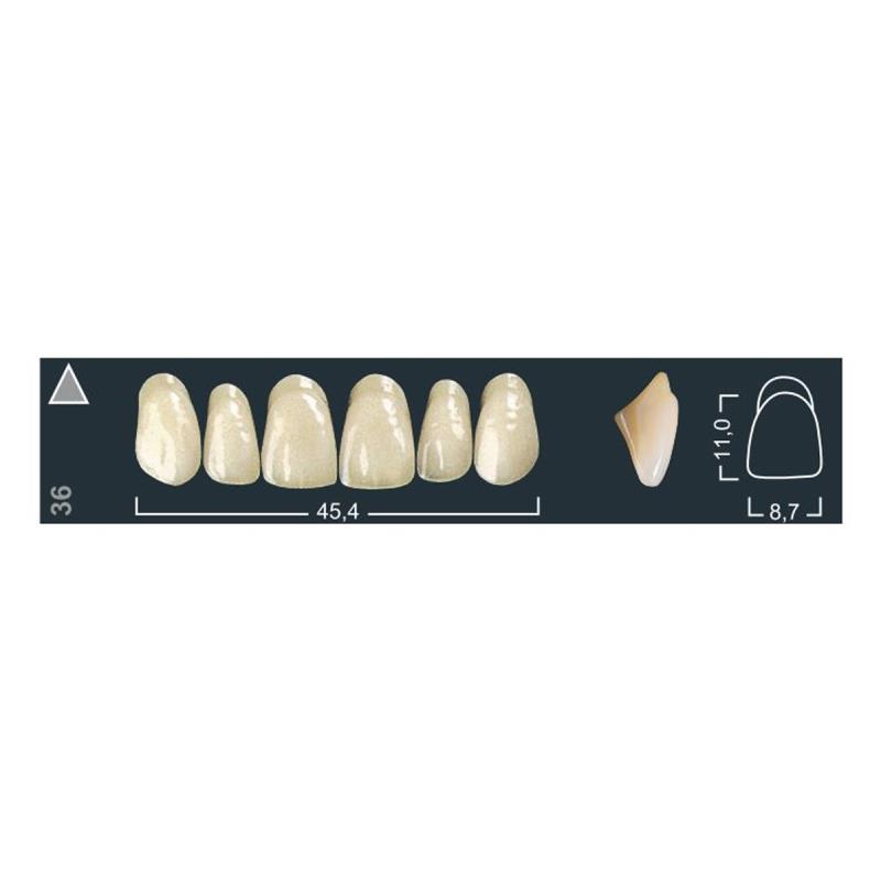 Зубы искуственные фронтальные верхние Ivoclar Set of 6 U OK36 A1 купить