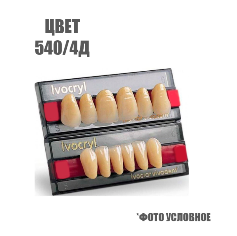 Зубы искуственные передние Set of 6 540/4Д 03 купить